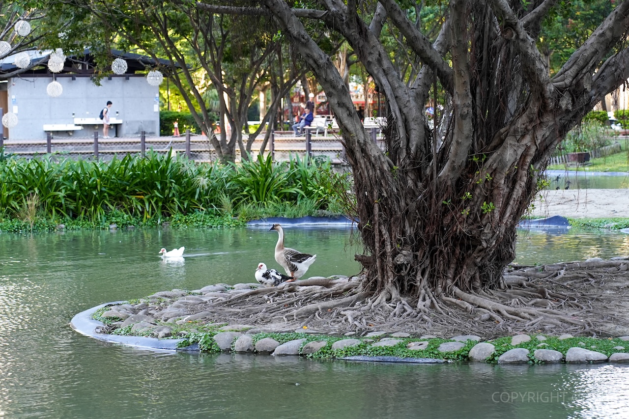 新竹竹北一日遊｜新瓦屋客家文化保存區 × 米其林蔬食 × 人氣烘焙 × 光藝節漫步路線