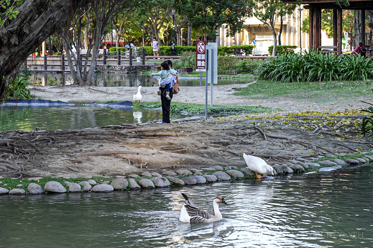 新竹竹北一日遊｜新瓦屋客家文化保存區 × 米其林蔬食 × 人氣烘焙 × 光藝節漫步路線