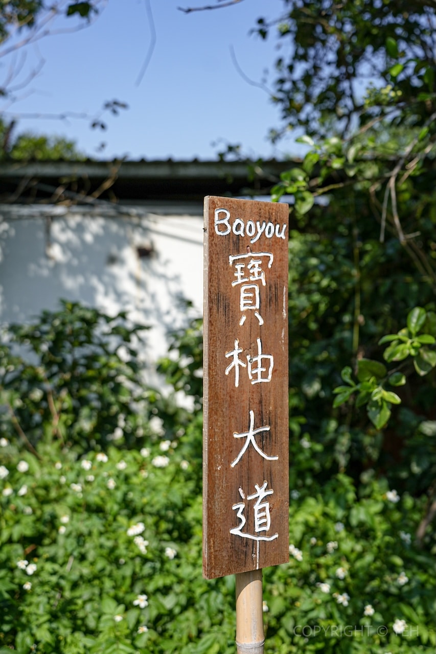 [新竹一日遊] 島內散步・新竹峨眉走走｜走進苦茶油風土的小旅行 手榨苦茶油×客家午宴×農莊手作體驗